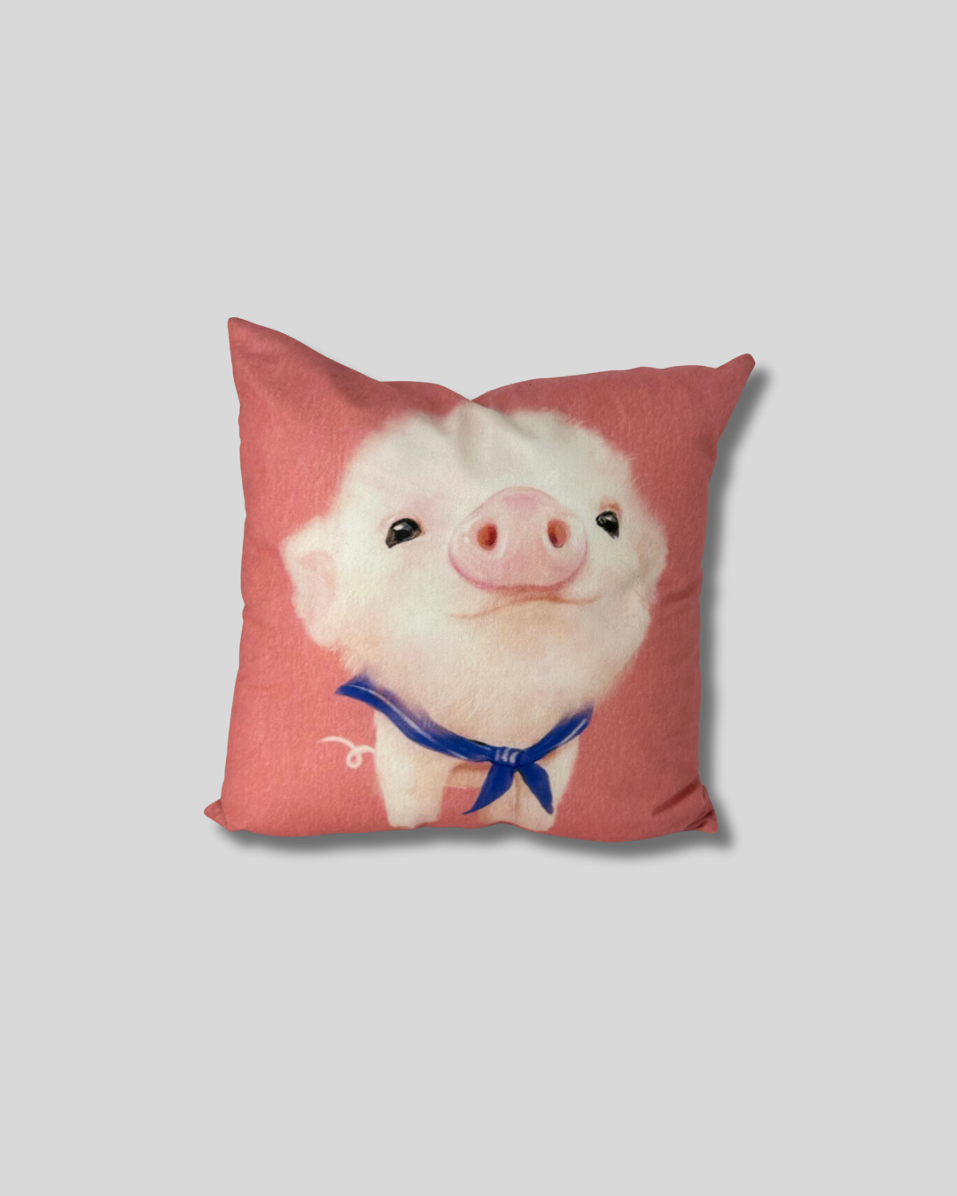 Cojín de cochinita