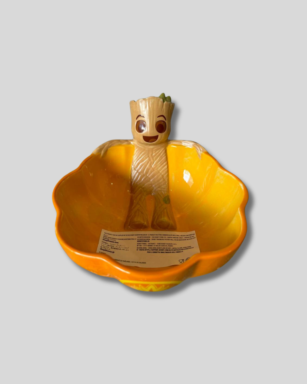 Plato de Groot