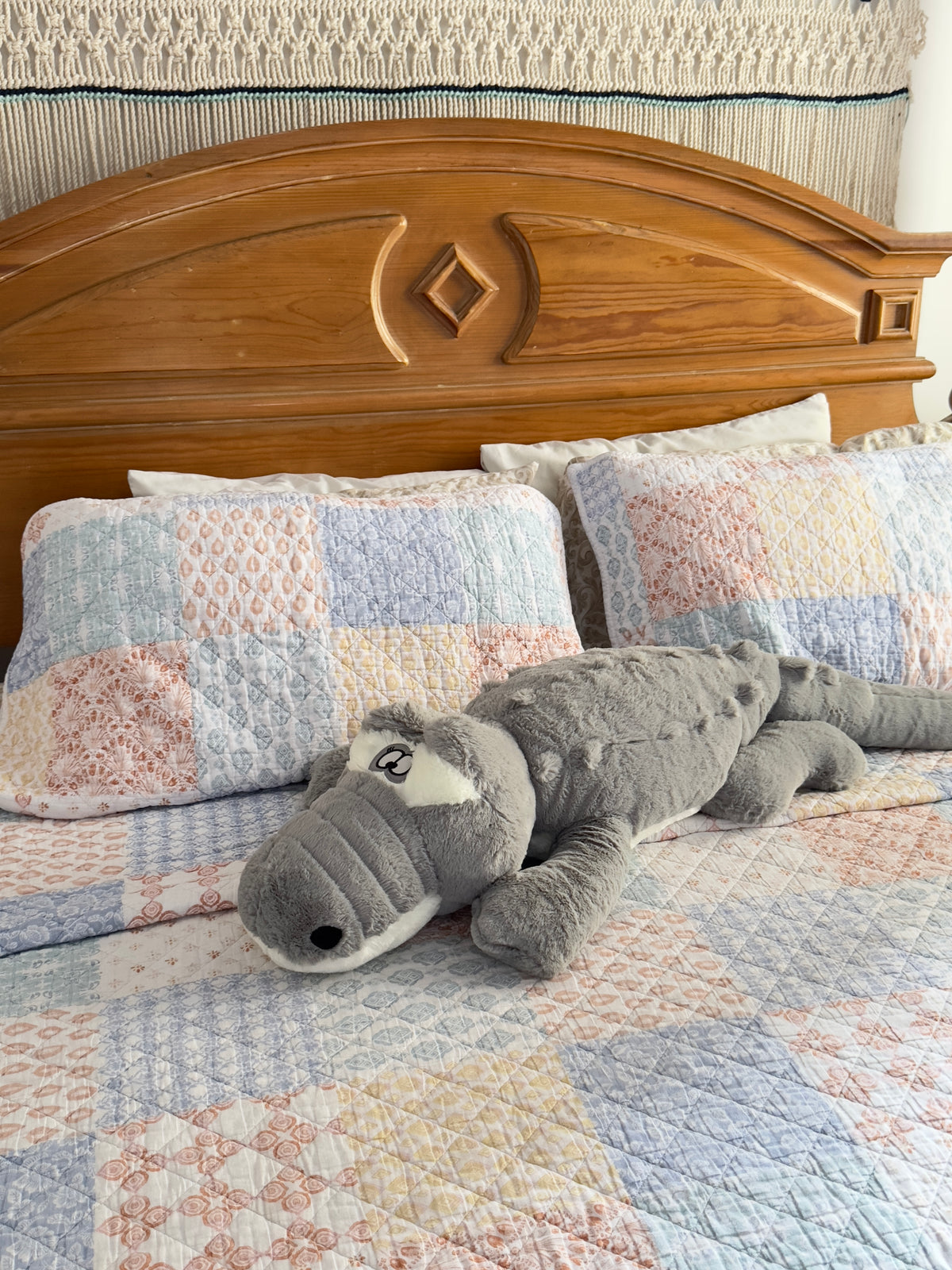 Cocodrilo gris